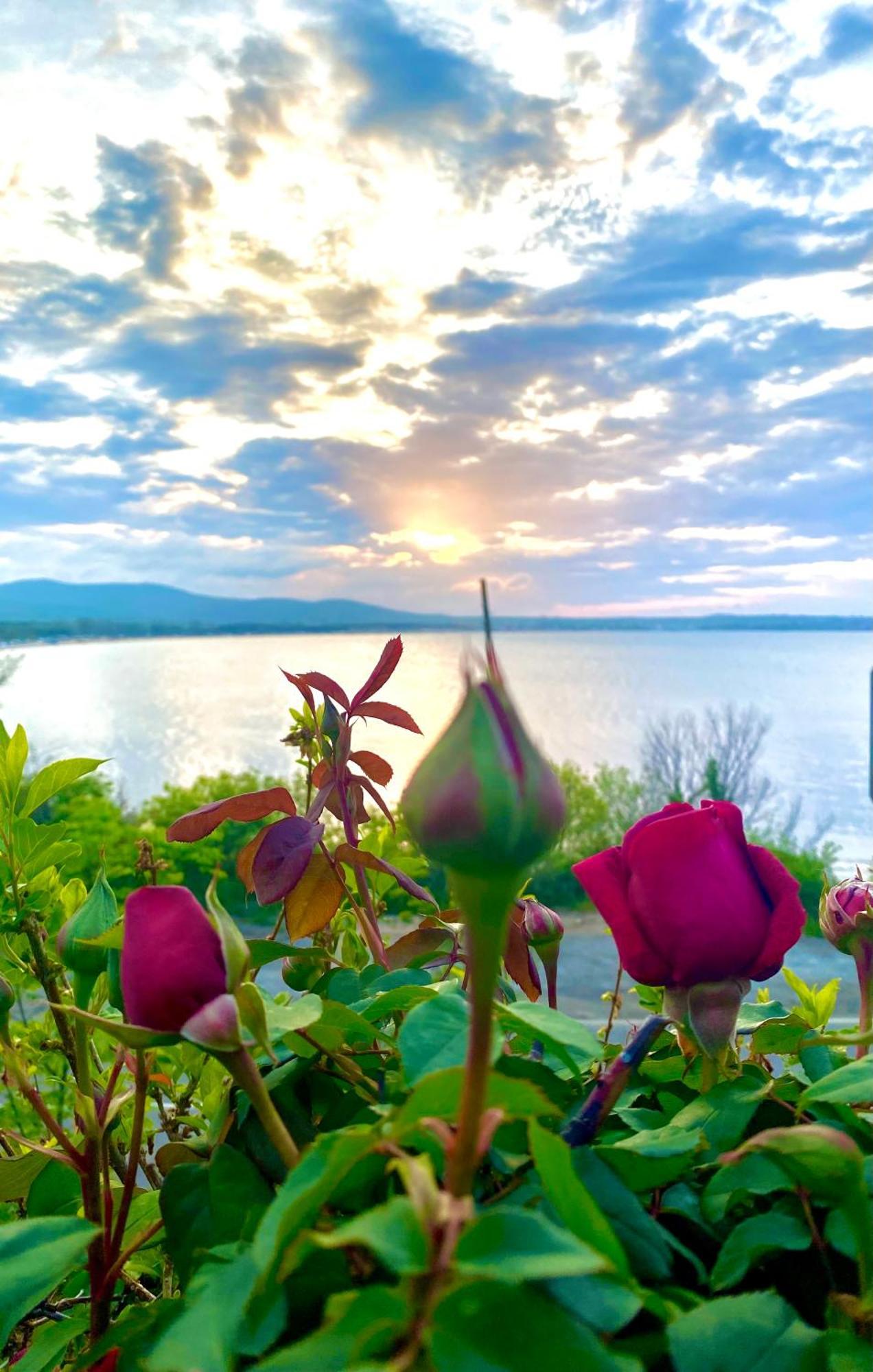 Aj Apartment 1 With Pool View, Santa Marina Holiday Village, Sozopol Luaran gambar